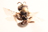  ( - UCSD.KJH.13005)  @11 [ ] by-nc (2025) Jessica Mullins Unspecified