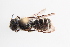  ( - UCSD.KJH.43843)  @11 [ ] by-nc (2025) Jessica Mullins Unspecified