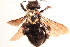  ( - CABR.751)  @11 [ ] by-nc (2025) Jessica Mullins Unspecified