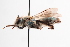  ( - UCSD.JLM.10212)  @11 [ ] by-nc (2025) Jessica Mullins Unspecified