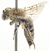  ( - OKBS.POL.2887)  @11 [ ] by-nc (2025) Keng-Lou James Hung Unspecified