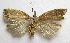  ( - BIOUG00847-C05)  @14 [ ] CreativeCommons - Attribution Non-Commercial No Derivatives (2011) Unspecified Unspecified