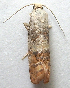  ( - BIOUG00847-C11)  @12 [ ] CreativeCommons - Attribution Non-Commercial No Derivatives (2011) Unspecified Unspecified