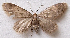  ( - BIOUG00847-E02)  @14 [ ] CreativeCommons - Attribution Non-Commercial No Derivatives (2011) Unspecified Unspecified