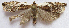  ( - BIOUG00847-F05)  @13 [ ] CreativeCommons - Attribution Non-Commercial No Derivatives (2011) Unspecified Unspecified