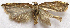  ( - BIOUG00847-F05)  @13 [ ] CreativeCommons - Attribution Non-Commercial No Derivatives (2011) Unspecified Unspecified