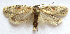  ( - BIOUG00847-H05)  @13 [ ] CreativeCommons - Attribution Non-Commercial No Derivatives (2011) Unspecified Unspecified