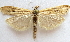  ( - BIOUG00848-A10)  @13 [ ] CreativeCommons - Attribution Non-Commercial No Derivatives (2011) Unspecified Unspecified
