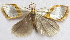 ( - BIOUG00848-B11)  @13 [ ] CreativeCommons - Attribution Non-Commercial No Derivatives (2011) Unspecified Unspecified