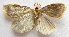  ( - BIOUG00848-B11)  @12 [ ] CreativeCommons - Attribution Non-Commercial No Derivatives (2011) Unspecified Unspecified