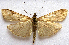  ( - BIOUG00848-C05)  @14 [ ] CreativeCommons - Attribution Non-Commercial No Derivatives (2011) Unspecified Unspecified