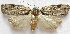  ( - BIOUG00848-C09)  @13 [ ] CreativeCommons - Attribution Non-Commercial No Derivatives (2011) Unspecified Unspecified