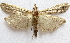  ( - BIOUG00848-C12)  @13 [ ] CreativeCommons - Attribution Non-Commercial No Derivatives (2011) Unspecified Unspecified
