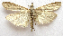  ( - BIOUG00848-C12)  @13 [ ] CreativeCommons - Attribution Non-Commercial No Derivatives (2011) Unspecified Unspecified