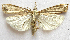  ( - BIOUG00848-D01)  @13 [ ] CreativeCommons - Attribution Non-Commercial No Derivatives (2011) Unspecified Unspecified