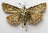  ( - BIOUG00848-D11)  @13 [ ] CreativeCommons - Attribution Non-Commercial No Derivatives (2011) Unspecified Unspecified