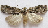  ( - BIOUG00848-E01)  @14 [ ] CreativeCommons - Attribution Non-Commercial No Derivatives (2011) Unspecified Unspecified