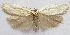  ( - BIOUG00848-E03)  @13 [ ] CreativeCommons - Attribution Non-Commercial No Derivatives (2011) Unspecified Unspecified