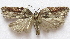  ( - BIOUG00848-F01)  @14 [ ] CreativeCommons - Attribution Non-Commercial No Derivatives (2011) Unspecified Unspecified