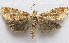  ( - BIOUG00848-F12)  @12 [ ] CreativeCommons - Attribution Non-Commercial No Derivatives (2011) Unspecified Unspecified