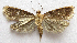  ( - BIOUG00848-F12)  @12 [ ] CreativeCommons - Attribution Non-Commercial No Derivatives (2011) Unspecified Unspecified