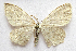  ( - BIOUG00849-C04)  @13 [ ] CreativeCommons - Attribution Non-Commercial No Derivatives (2011) Unspecified Unspecified