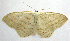  ( - BIOUG00849-C06)  @14 [ ] CreativeCommons - Attribution Non-Commercial No Derivatives (2011) Unspecified Unspecified