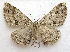  ( - BIOUG00849-H04)  @13 [ ] CreativeCommons - Attribution Non-Commercial No Derivatives (2011) Unspecified Unspecified