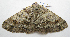  ( - BIOUG00849-H04)  @13 [ ] CreativeCommons - Attribution Non-Commercial No Derivatives (2011) Unspecified Unspecified
