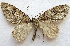  ( - BIOUG00849-H10)  @14 [ ] CreativeCommons - Attribution Non-Commercial No Derivatives (2011) Unspecified Unspecified
