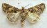  ( - BIOUG00850-C09)  @13 [ ] CreativeCommons - Attribution Non-Commercial No Derivatives (2011) Unspecified Unspecified