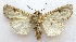  ( - BIOUG00850-C09)  @13 [ ] CreativeCommons - Attribution Non-Commercial No Derivatives (2011) Unspecified Unspecified