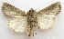  ( - BIOUG00850-D12)  @13 [ ] CreativeCommons - Attribution Non-Commercial No Derivatives (2011) Unspecified Unspecified
