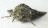  ( - BIOUG00850-E07)  @12 [ ] CreativeCommons - Attribution Non-Commercial No Derivatives (2011) Unspecified Unspecified