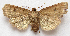  ( - BIOUG00850-F06)  @13 [ ] CreativeCommons - Attribution Non-Commercial No Derivatives (2011) Unspecified Unspecified