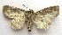  ( - BIOUG00850-F08)  @12 [ ] CreativeCommons - Attribution Non-Commercial No Derivatives (2011) Unspecified Unspecified
