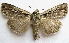  ( - BIOUG00850-G02)  @14 [ ] CreativeCommons - Attribution Non-Commercial No Derivatives (2011) Unspecified Unspecified
