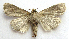  ( - BIOUG00850-G02)  @13 [ ] CreativeCommons - Attribution Non-Commercial No Derivatives (2011) Unspecified Unspecified