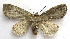  ( - BIOUG00850-G03)  @12 [ ] CreativeCommons - Attribution Non-Commercial No Derivatives (2011) Unspecified Unspecified