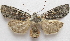  ( - BIOUG00850-H03)  @14 [ ] CreativeCommons - Attribution Non-Commercial No Derivatives (2011) Unspecified Unspecified