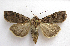  ( - BIOUG00850-H07)  @14 [ ] CreativeCommons - Attribution Non-Commercial No Derivatives (2011) Unspecified Unspecified