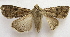  ( - BIOUG00850-H09)  @14 [ ] CreativeCommons - Attribution Non-Commercial No Derivatives (2011) Unspecified Unspecified