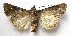  ( - BIOUG00851-A02)  @13 [ ] CreativeCommons - Attribution Non-Commercial No Derivatives (2011) Unspecified Unspecified