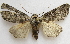  ( - BIOUG00851-B05)  @14 [ ] CreativeCommons - Attribution Non-Commercial No Derivatives (2011) Unspecified Unspecified