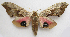  ( - BIOUG00851-F01)  @14 [ ] CreativeCommons - Attribution Non-Commercial No Derivatives (2011) Unspecified Unspecified