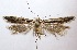  ( - BIOUG06714-D10)  @14 [ ] CreativeCommons - Attribution (2012) CBG Photography Group Centre for Biodiversity Genomics