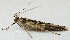  ( - BIOUG06714-D10)  @12 [ ] CreativeCommons - Attribution (2012) CBG Photography Group Centre for Biodiversity Genomics