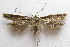  ( - BIOUG06714-D10)  @13 [ ] CreativeCommons - Attribution (2012) CBG Photography Group Centre for Biodiversity Genomics