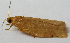  ( - BIOUG06714-E04)  @12 [ ] CreativeCommons - Attribution (2012) CBG Photography Group Centre for Biodiversity Genomics