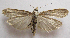  ( - BIOUG06714-F03)  @13 [ ] CreativeCommons - Attribution (2012) CBG Photography Group Centre for Biodiversity Genomics
